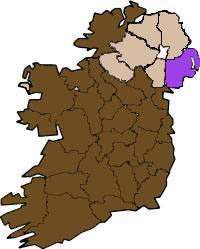 County Down Flag